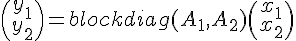 $\begin{pmatrix} y_1 \\ y_2 \end{pmatrix} = blockdiag(A_1, A_2) \begin{pmatrix} x_1 \\ x_2 \end{pmatrix}$