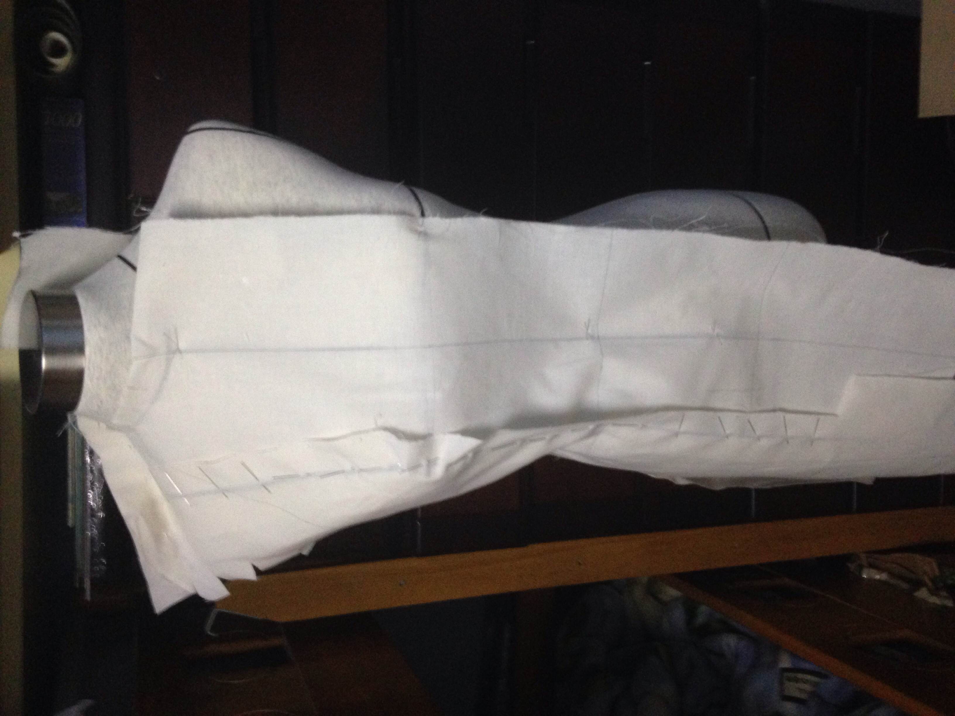 torso1_1.jpg