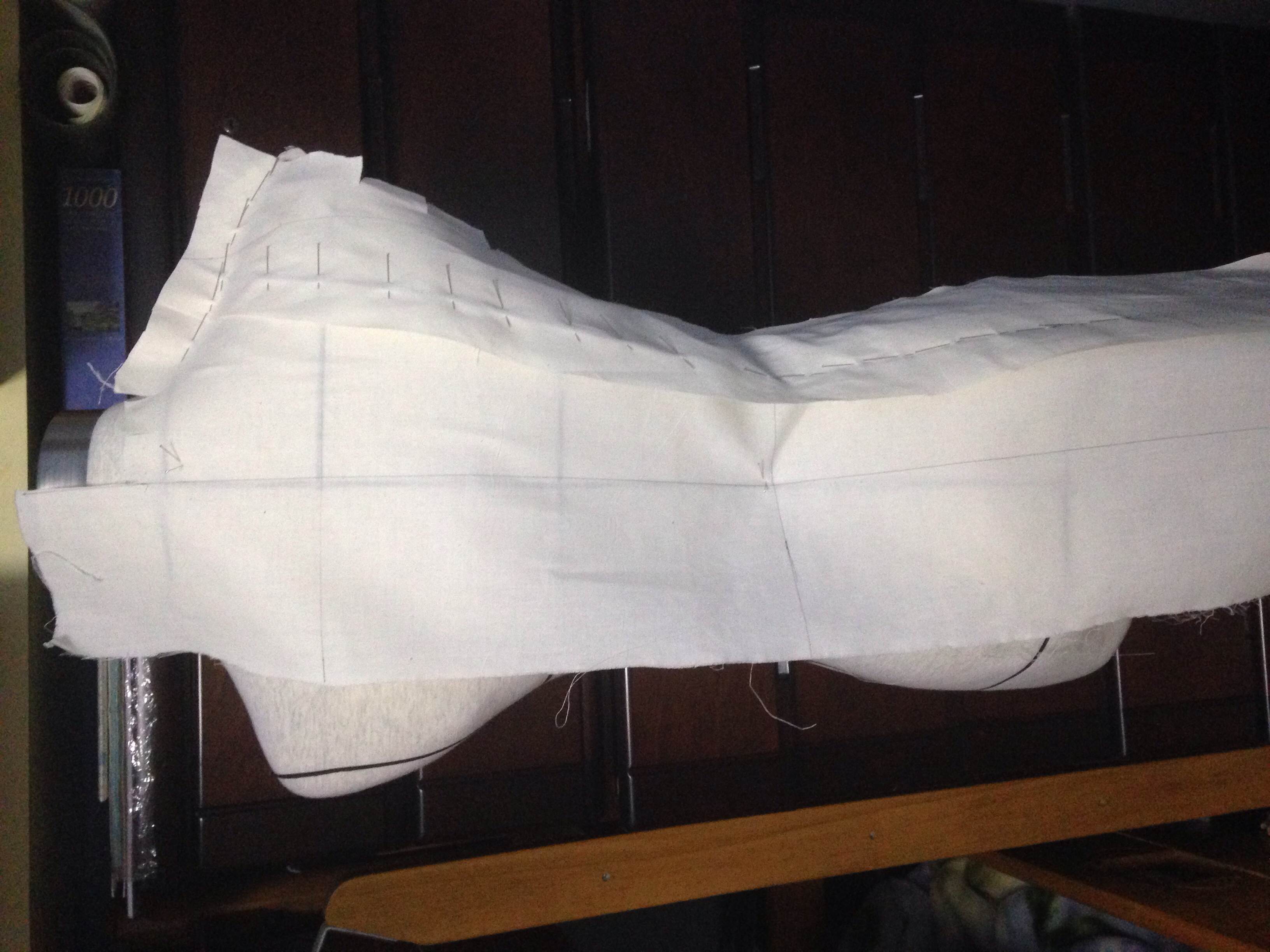 torso1_3.jpg